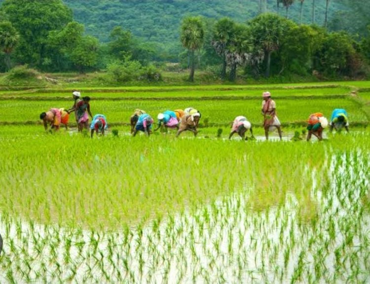 शेती  गोदाम बांधकाम बाबींसाठी 31 जुलै पर्यंत अर्ज करावेत