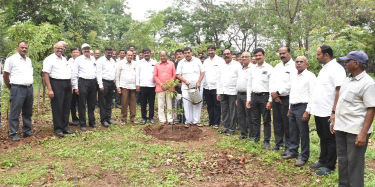 'गोकुळ’ तर्फे महाराष्ट्र कृषी दिनानिमित्य वृक्षारोपण