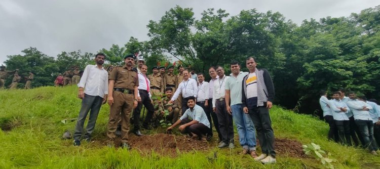 कोरे अभियांत्रिकेच्यावतीने २५० वृक्षारोपण