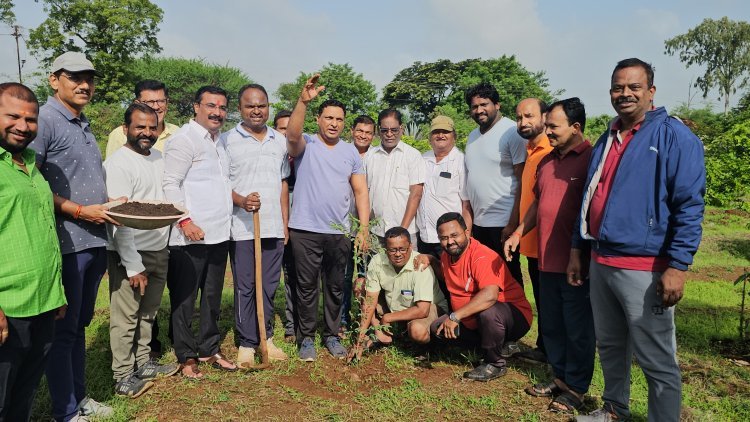जागतिक पर्यावरण दिनाच्या निमित्ताने भाजपाच्या वतीने वृक्षारोपण आणि संवर्धन