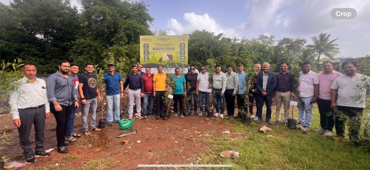 क्रिडाई कोल्हापूरच्या वतीने पर्यावरण दिनानिमित्त वृक्षारोपण कार्यक्रम संपन्न