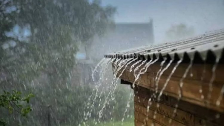 राज्यात पावसाचा जोर वाढणार ; कोकण आणि मध्य महाराष्ट्रात मुसळधार पावसाचा इशारा