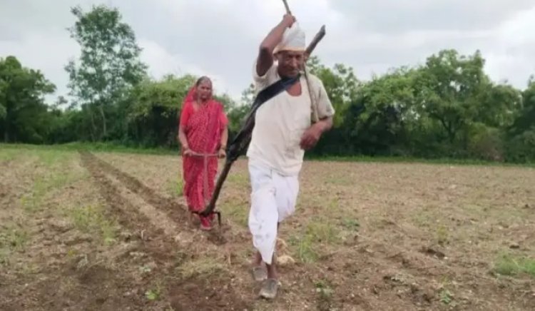 व्हायरल व्हिडीओनंतर 'या' अभिनेत्याने दिले वृद्ध शेतकरी दाम्पत्याला बैल देण्याचे आश्वासन