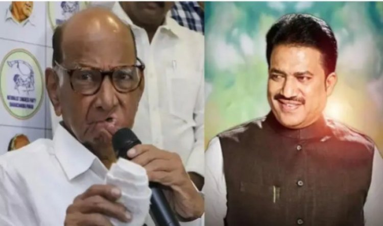 राष्ट्रवादी काँग्रेस (शरद पवार गट) प्रदेशाध्यक्षपदी शशिकांत शिंदे यांची नियुक्ती